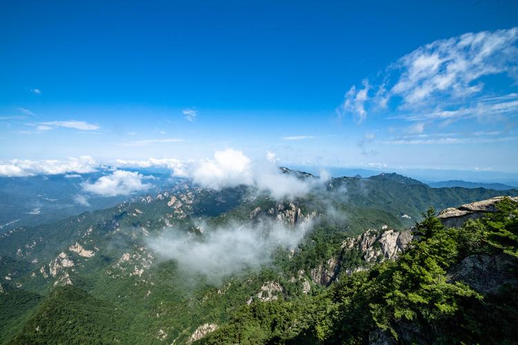 我的中国芯原型（我的中国芯之路）