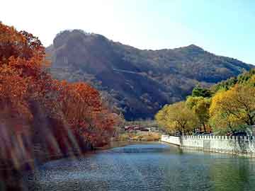 二手越野车交易市场(硬派越野车哪个牌子好)